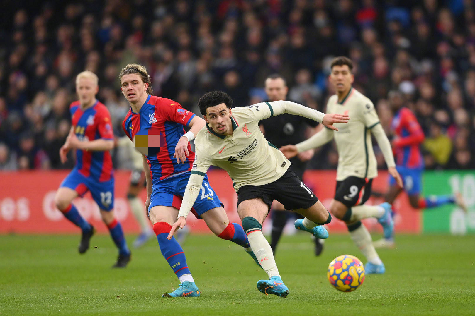 盛行的国度 盛行的国度